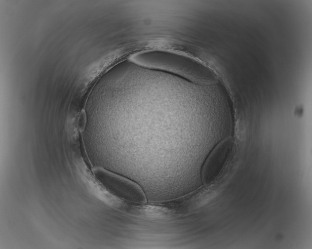 X0000116490393200912231156