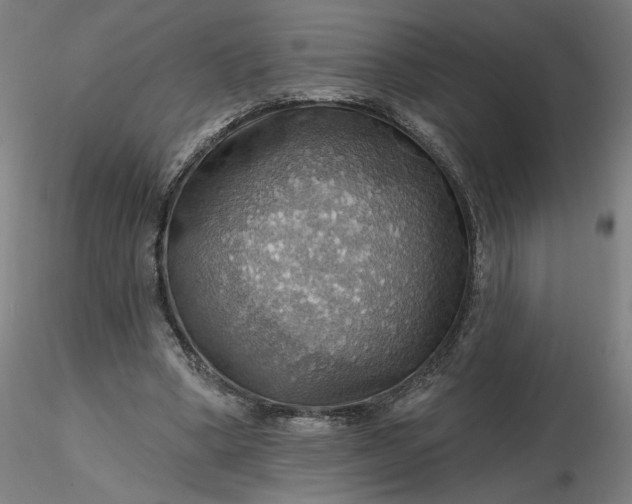 X0000116490394200912231156