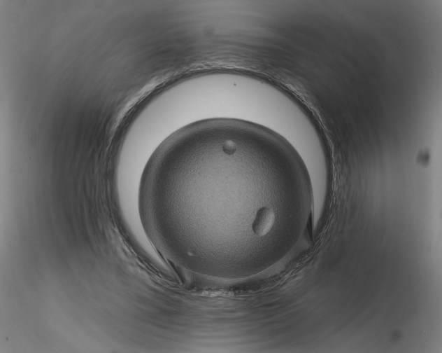 X0000116490395200912231156