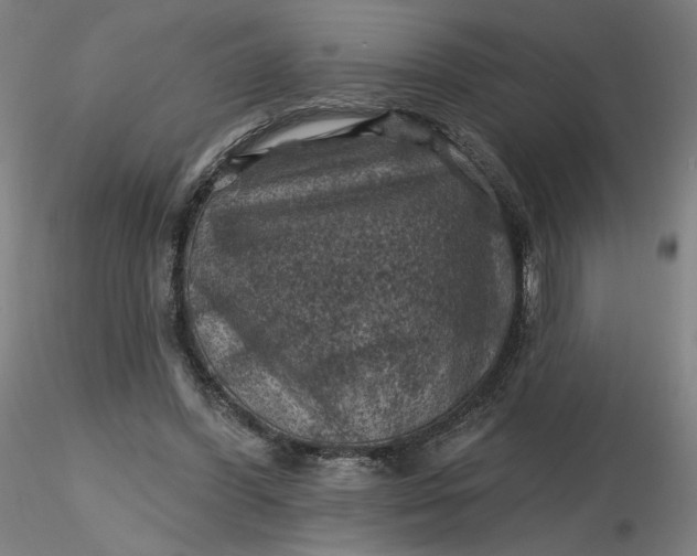 X0000116490396200912231156