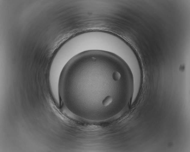 X0000116490397200912231156