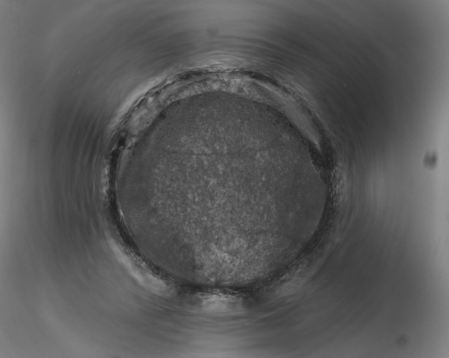 X0000116490400200912231156