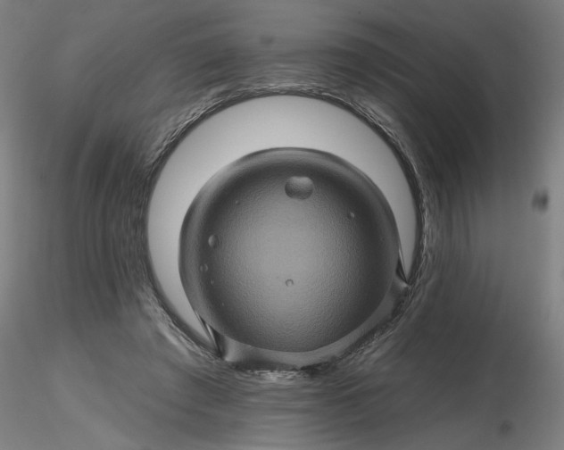 X0000116490401200912231156