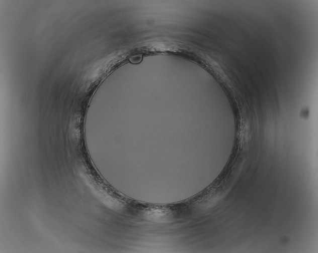 X0000116490402200912231156