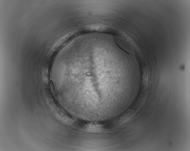 X0000116490403200912231156