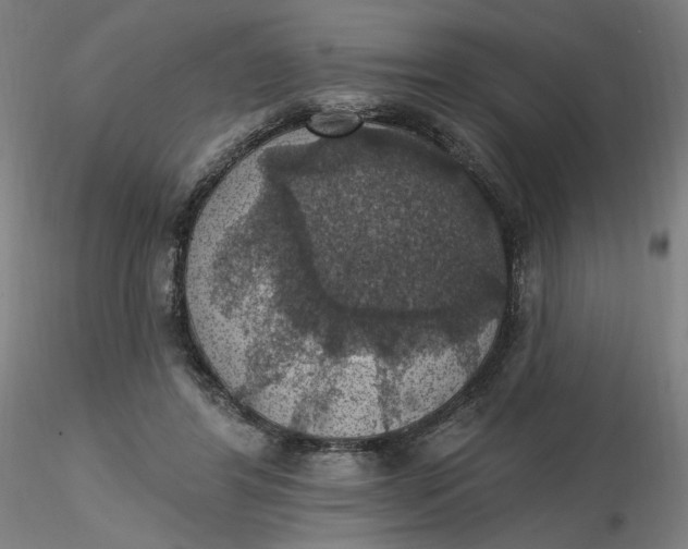 X0000116490404200912231156