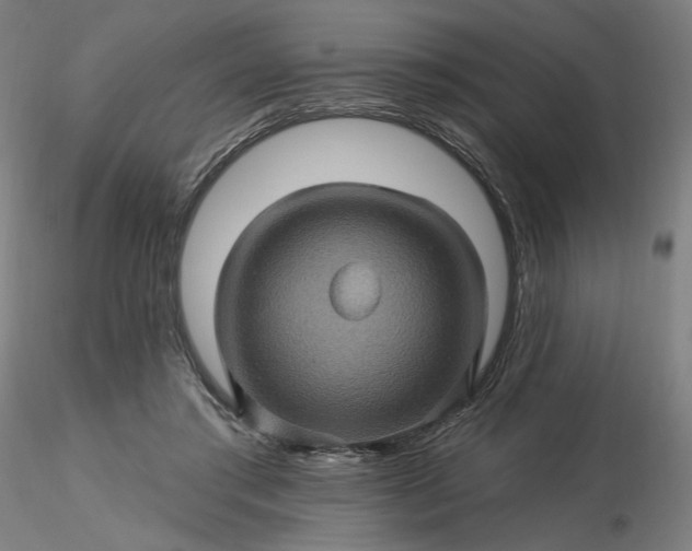 X0000116490405200912231156