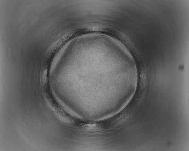 X0000116490406200912231156