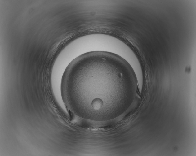 X0000116490407200912231156