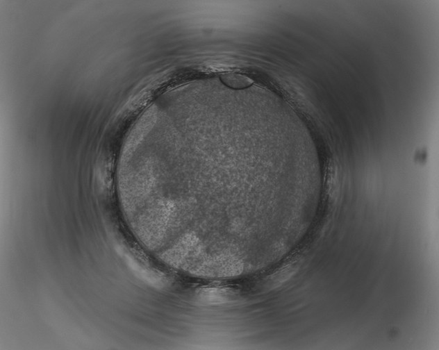 X0000116490408200912231155