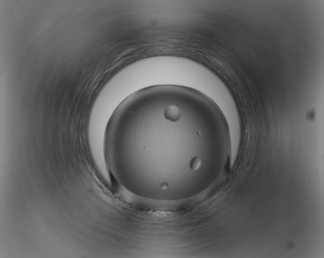 X0000116490409200912231155