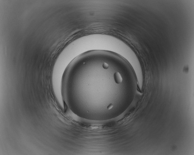 X0000116490413200912231155