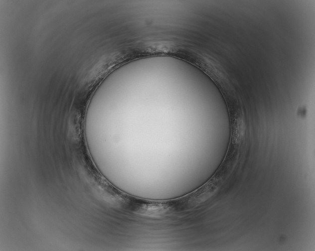 X0000116490414200912231155