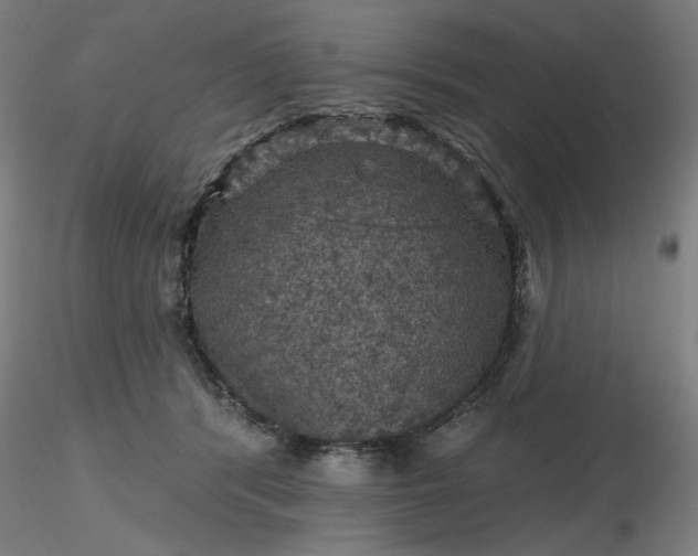 X0000116490416200912231155