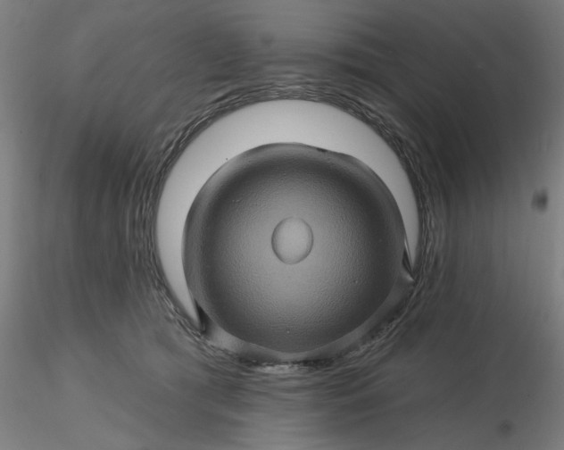 X0000116490417200912231155