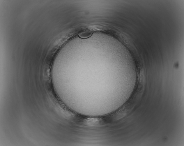 X0000116490418200912231155