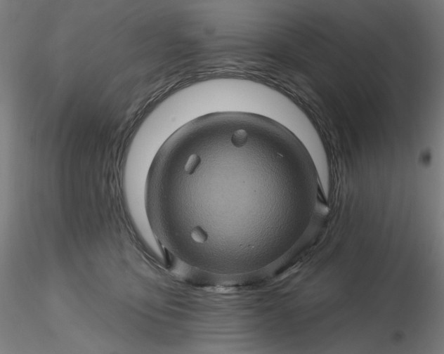 X0000116490419200912231155