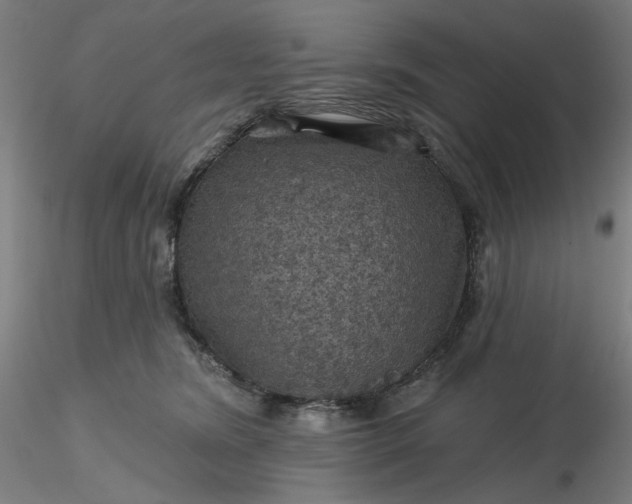 X0000116490420200912231155