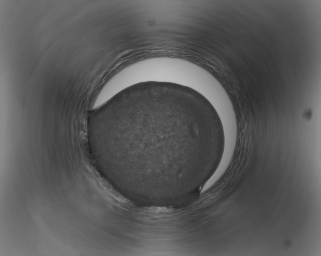 X0000116490421200912231155