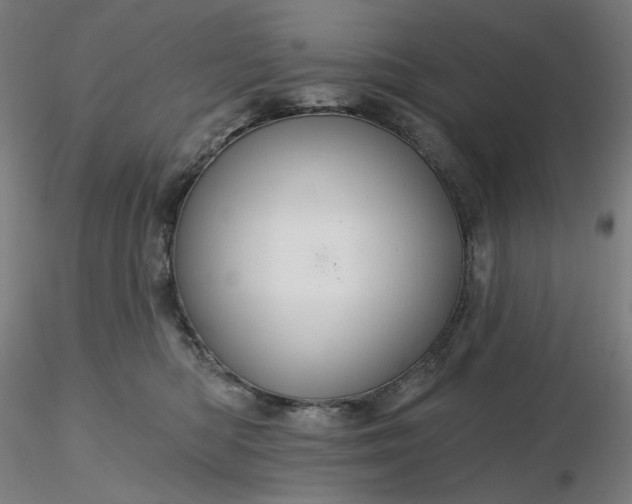 X0000116490422200912231155