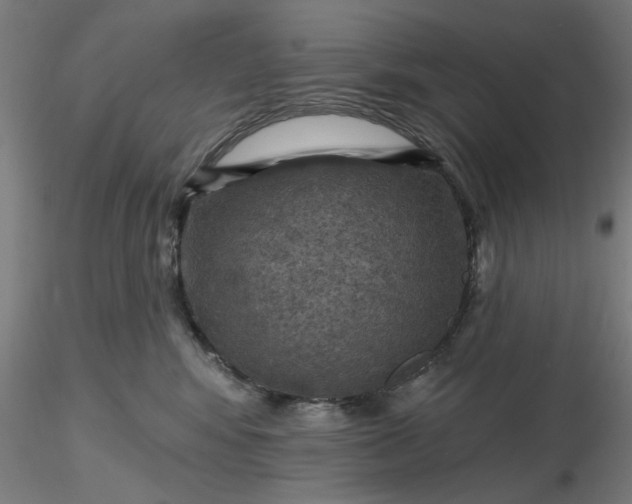 X0000116490424200912231155