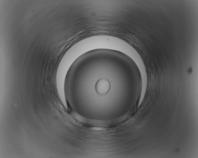 X0000116490425200912231155