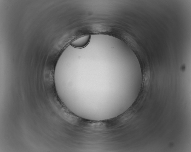 X0000116490426200912231155