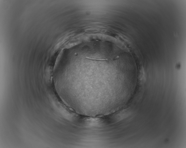 X0000116490428200912231155