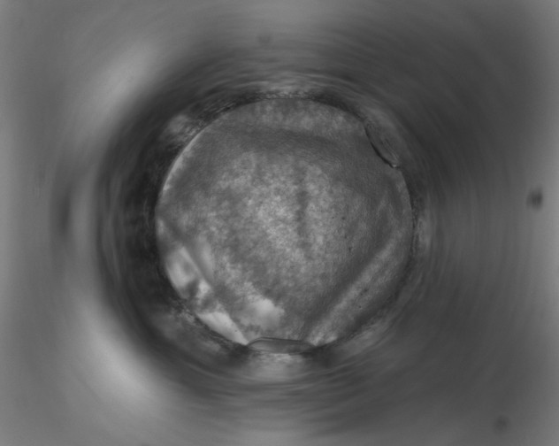 X0000116490429200912231155