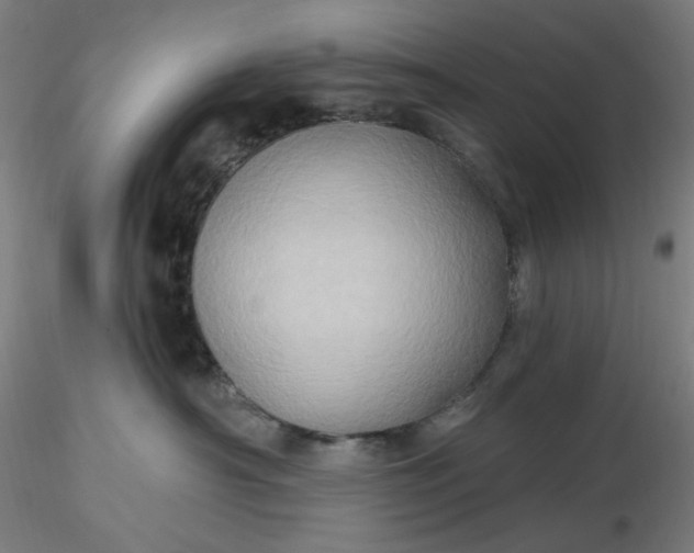 X0000116490430200912231155