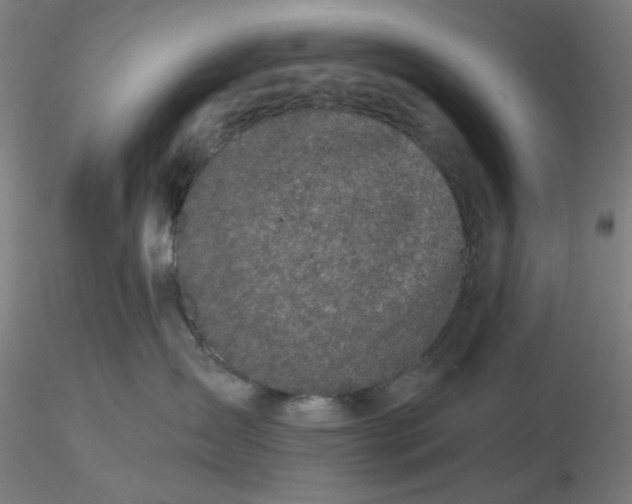 X0000116490431200912231155