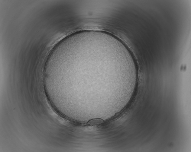 X0000116490433200912231155