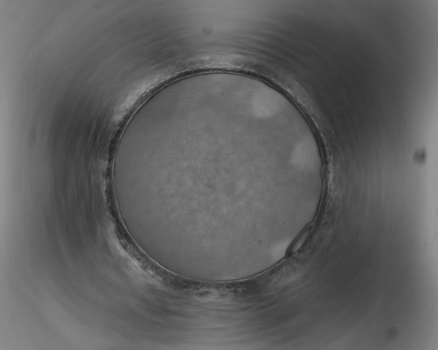 X0000116490434200912231155