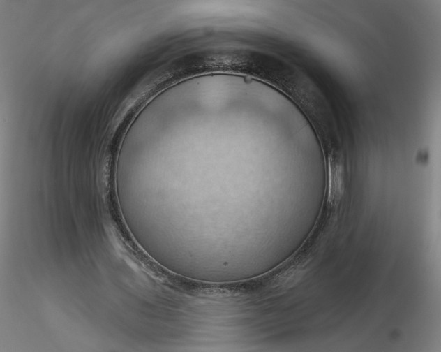 X0000116490435200912231155