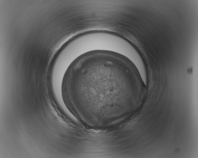 X0000116490436200912231155