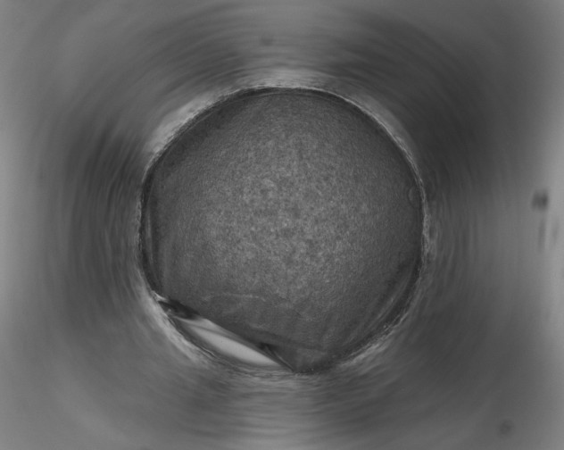 X0000116490437200912231155