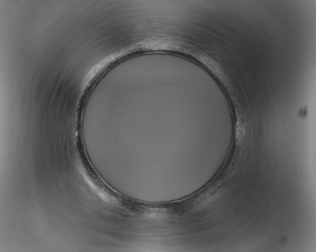 X0000116490438200912231155