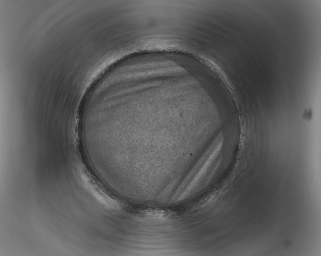 X0000116490439200912231155