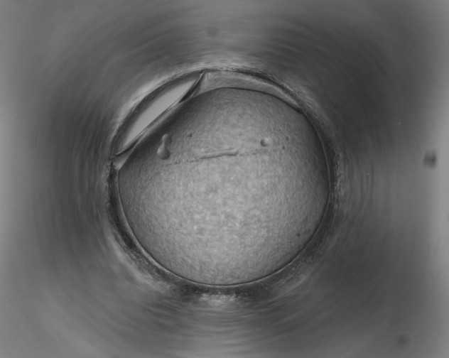 X0000116490440200912231155