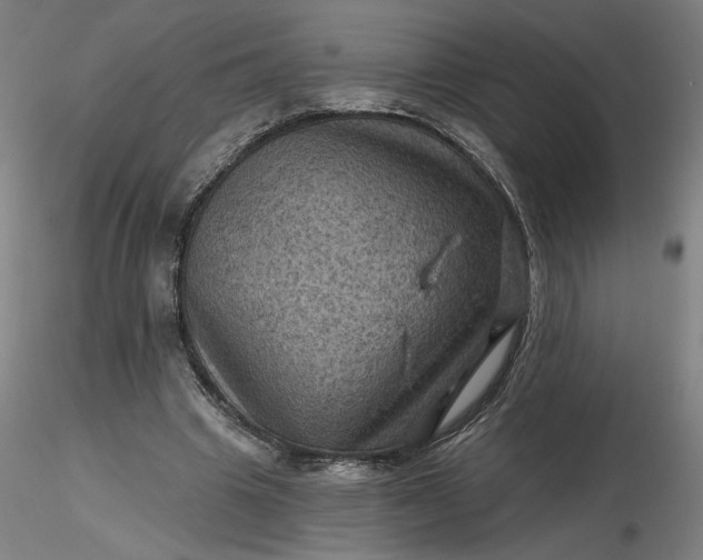 X0000116490441200912231155