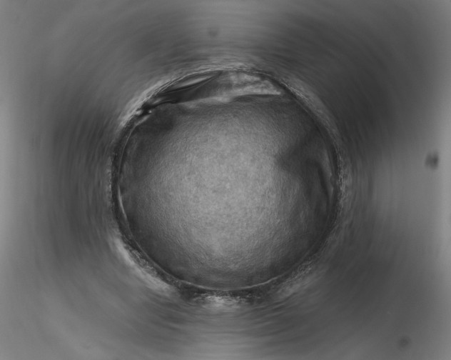 X0000116490442200912231155