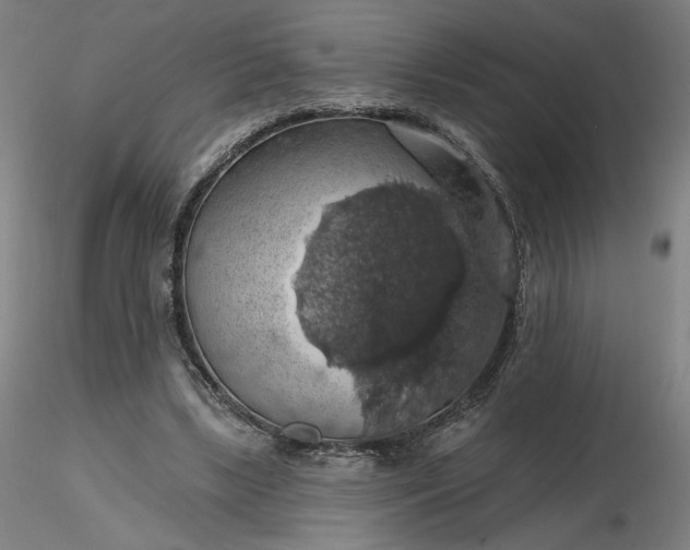 X0000116490443200912231155