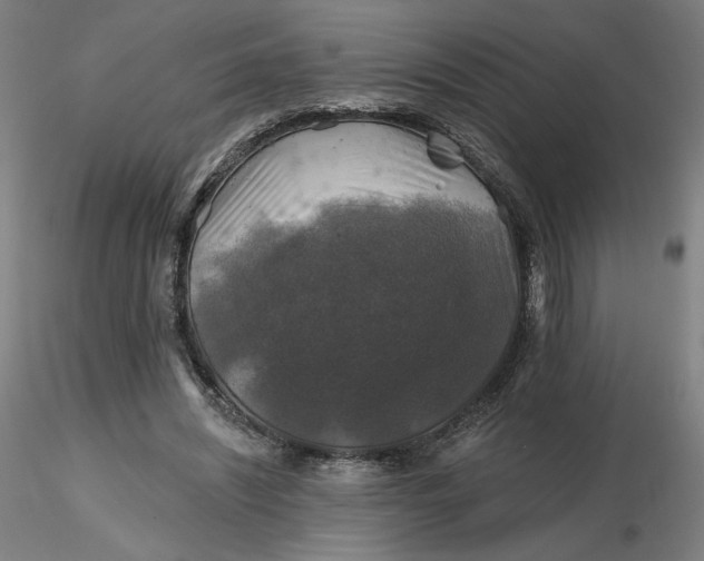 X0000116490444200912231155