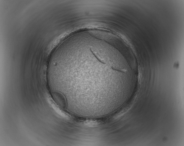 X0000116490445200912231155