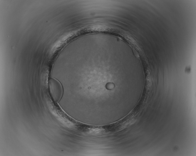 X0000116490446200912231155