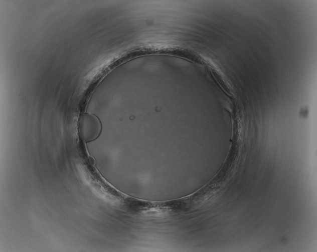 X0000116490447200912231155