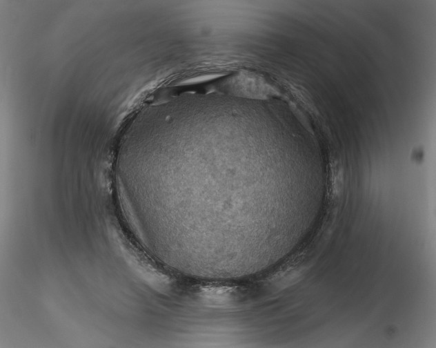 X0000116490450200912231155