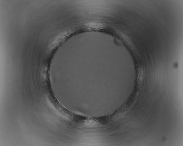 X0000116490451200912231155