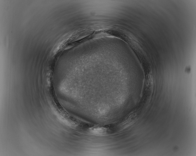 X0000116490452200912231155