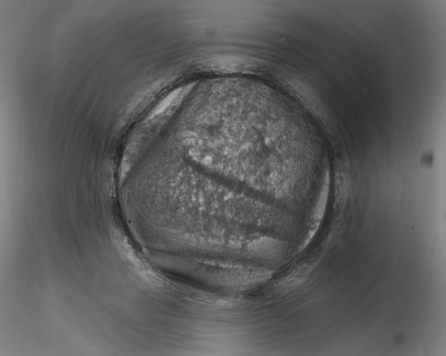 X0000116490453200912231155